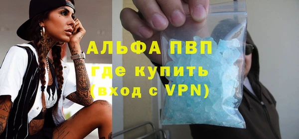 гашик Вяземский