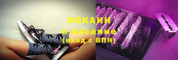 мдпв Горнозаводск