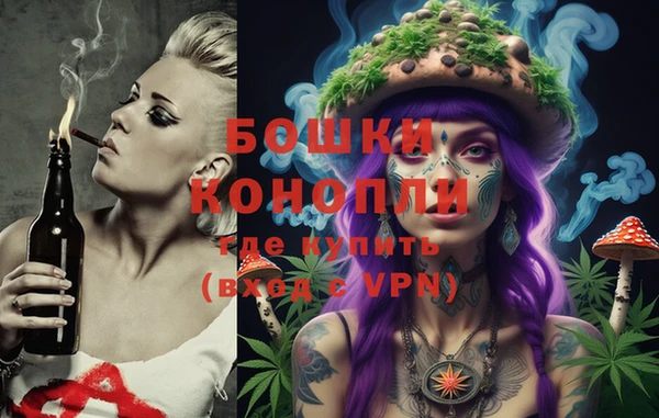 Альфа ПВП Горно-Алтайск