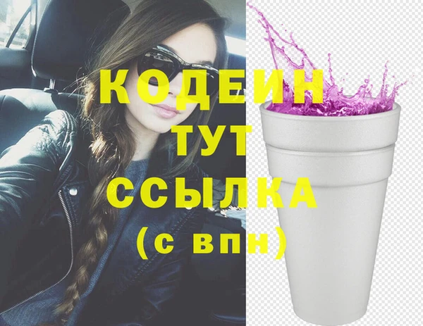 мдпв Горнозаводск