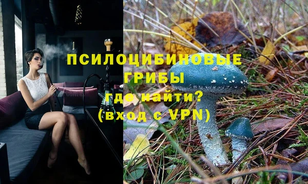 мдпв Горнозаводск