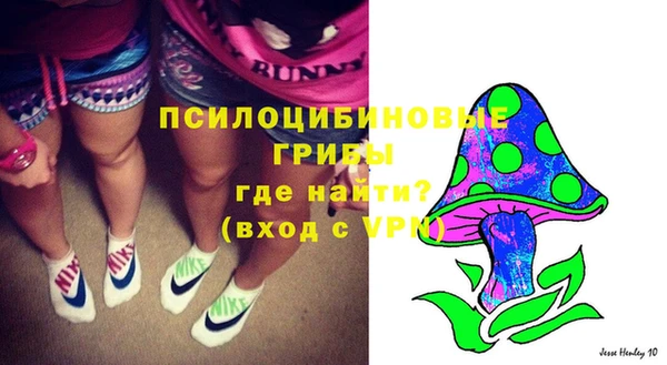 мдпв Горнозаводск