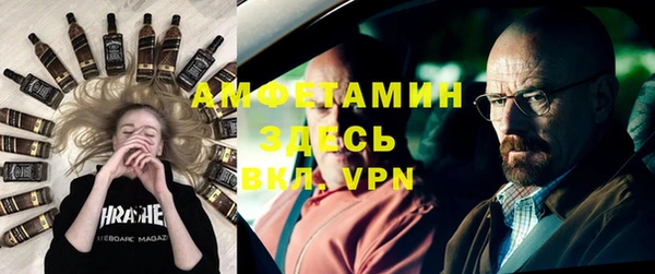 гашик Вяземский